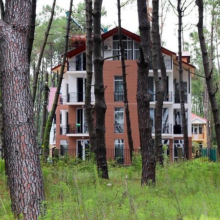 Hotel Gina Shekvetili Exteriér fotografie