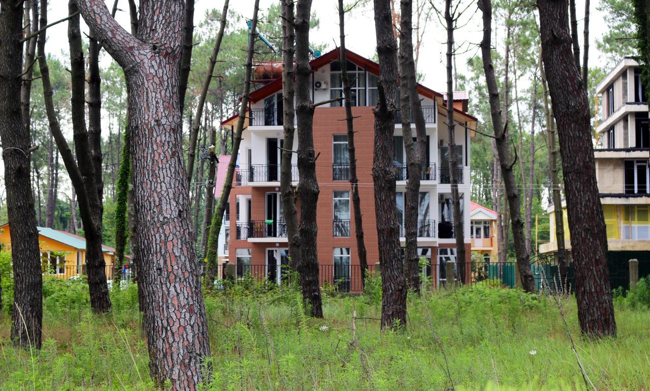 Hotel Gina Shekvetili Exteriér fotografie